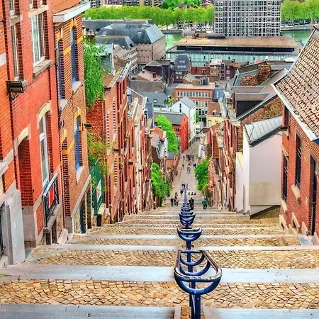 Lifeinliege 公寓 *