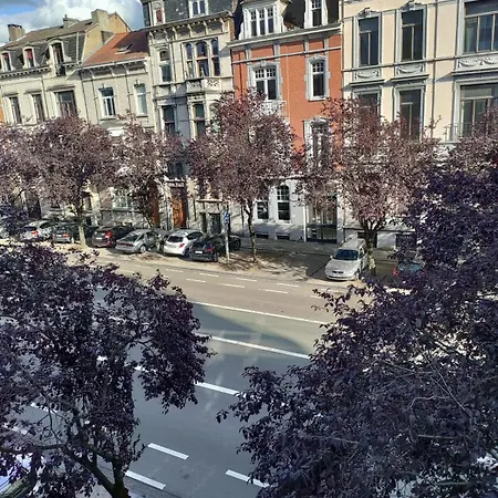 Lifeinliege 公寓 *